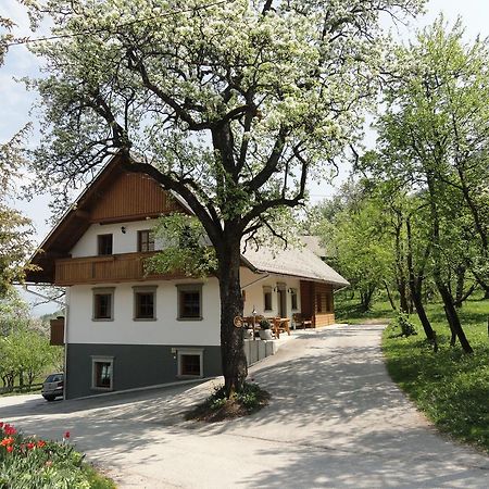 Farm Stay Dolinar Krainer Bohinjska Bela Bagian luar foto