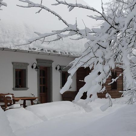 Farm Stay Dolinar Krainer Bohinjska Bela Bagian luar foto